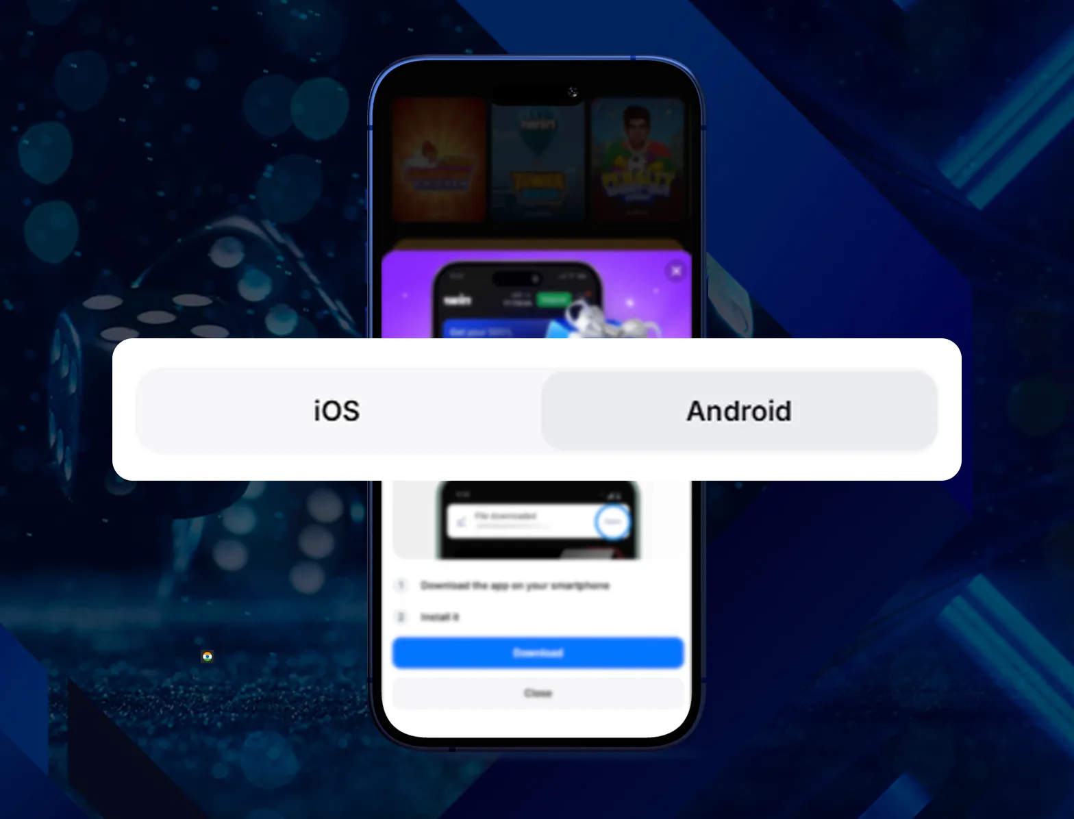 Install the application step by step.
